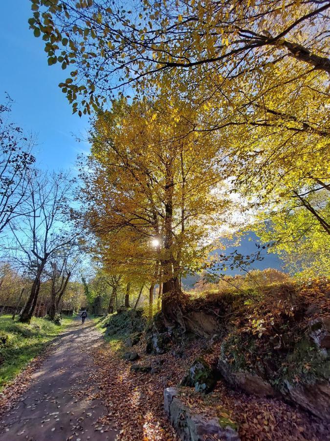 Villaggio Turistico Il Lago Dorato Carlazzo Zewnętrze zdjęcie